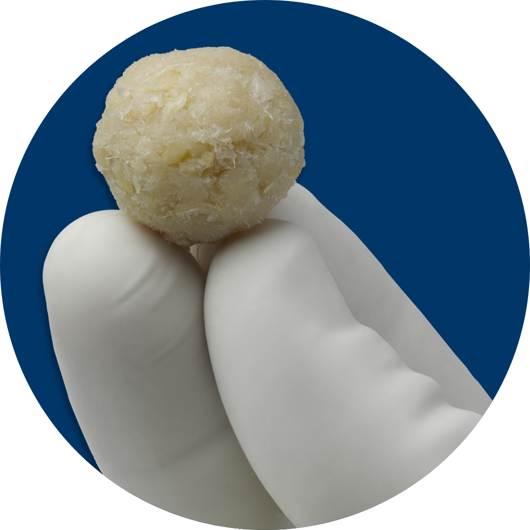 ViviGen Cellular Bone Matrix | LifeNet Health